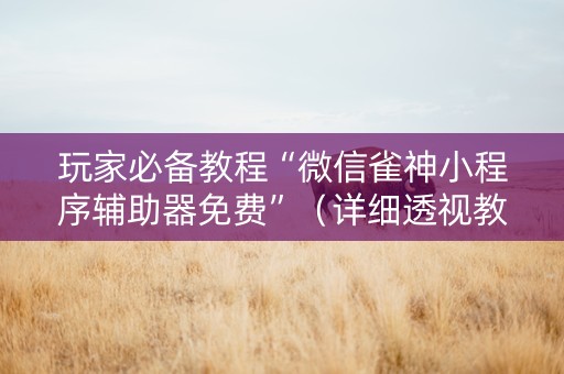 玩家必备教程“微信雀神小程序辅助器免费”（详细透视教程）-哔哩哔哩