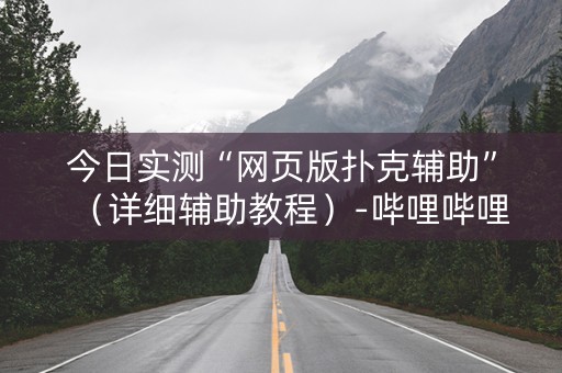 今日实测“网页版扑克辅助”（详细辅助教程）-哔哩哔哩