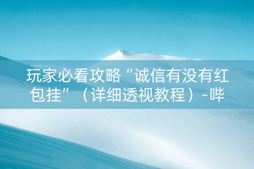 玩家必看攻略“诚信有没有红包挂”（详细透视教程）-哔哩哔哩