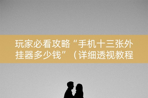 玩家必看攻略“手机十三张外挂器多少钱”（详细透视教程）-哔哩哔哩