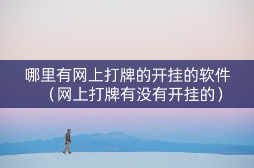 哪里有网上打牌的开挂的软件（网上打牌有没有开挂的）