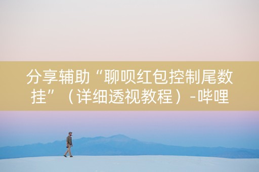 分享辅助“聊呗红包控制尾数挂”（详细透视教程）-哔哩哔哩