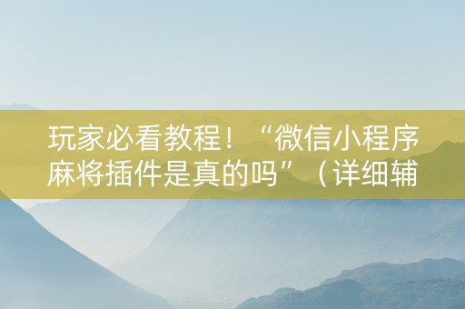 玩家必看教程！“微信小程序麻将插件是真的吗”（详细辅助教程）-哔哩哔哩