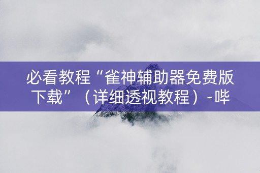 必看教程“雀神辅助器免费版下载”（详细透视教程）-哔哩哔哩