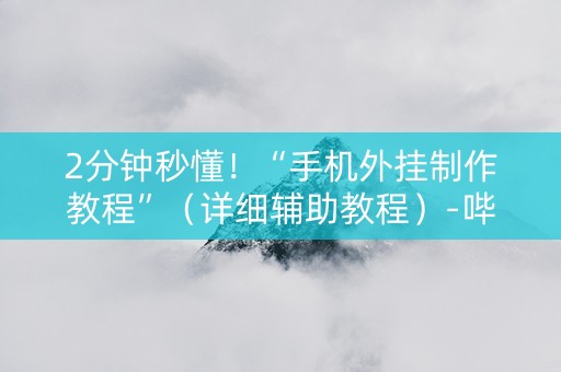 2分钟秒懂！“手机外挂制作教程”（详细辅助教程）-哔哩哔哩
