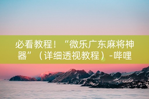 必看教程！“微乐广东麻将神器”（详细透视教程）-哔哩哔哩
