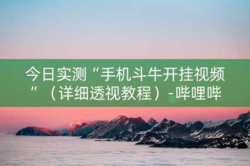 今日实测“手机斗牛开挂视频”（详细透视教程）-哔哩哔哩