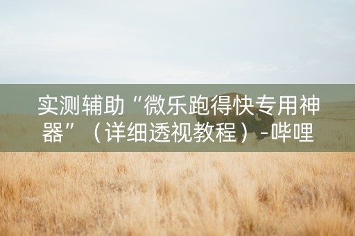 实测辅助“微乐跑得快专用神器”（详细透视教程）-哔哩哔哩