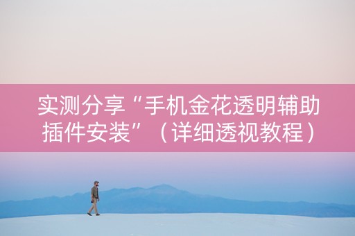 实测分享“手机金花透明辅助插件安装”（详细透视教程）-哔哩哔哩