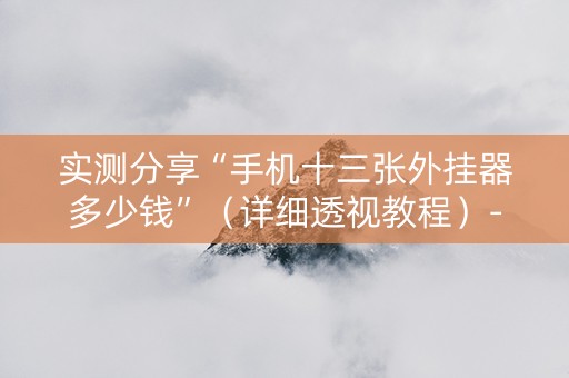 实测分享“手机十三张外挂器多少钱”（详细透视教程）-哔哩哔哩