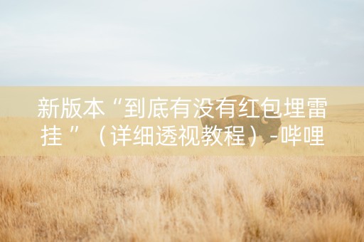 新版本“到底有没有红包埋雷挂 ”（详细透视教程）-哔哩哔哩