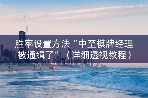 胜率设置方法“中至棋牌经理被通缉了”（详细透视教程）-哔哩哔哩