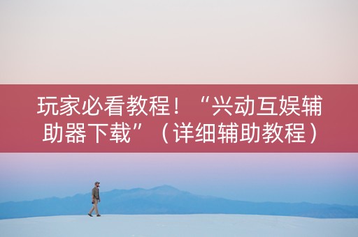 玩家必看教程！“兴动互娱辅助器下载”（详细辅助教程）-哔哩哔哩