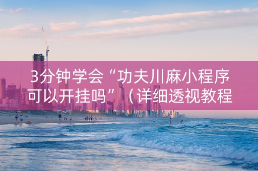 3分钟学会“功夫川麻小程序可以开挂吗”（详细透视教程）-哔哩哔哩
