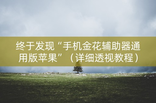 终于发现“手机金花辅助器通用版苹果”（详细透视教程）-哔哩哔哩