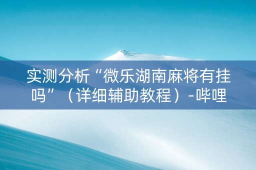 实测分析“微乐湖南麻将有挂吗”（详细辅助教程）-哔哩哔哩