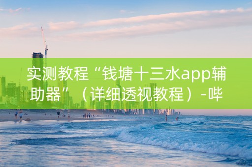 实测教程“钱塘十三水app辅助器”（详细透视教程）-哔哩哔哩