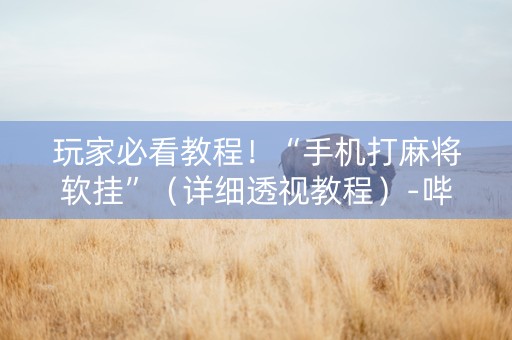玩家必看教程！“手机打麻将软挂”（详细透视教程）-哔哩哔哩