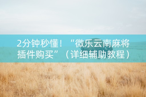 2分钟秒懂！“微乐云南麻将插件购买”（详细辅助教程）-哔哩哔哩