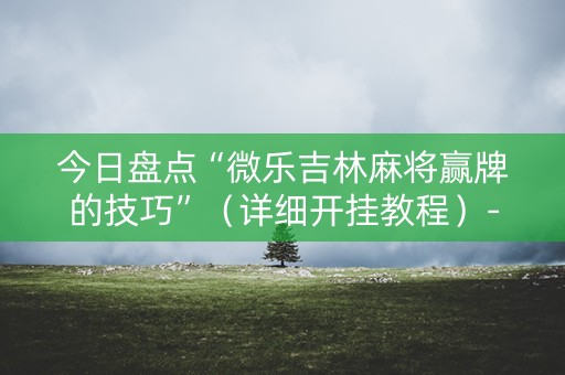 今日盘点“微乐吉林麻将赢牌的技巧”（详细开挂教程）-哔哩哔哩