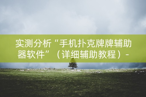实测分析“手机扑克牌牌辅助器软件”（详细辅助教程）-哔哩哔哩