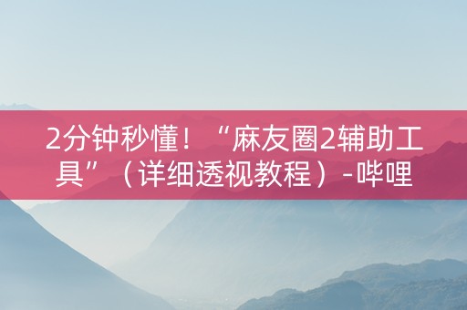 2分钟秒懂！“麻友圈2辅助工具”（详细透视教程）-哔哩哔哩