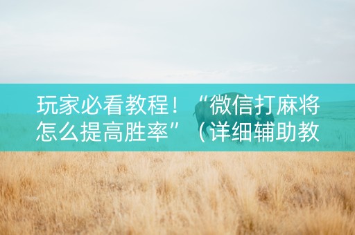 玩家必看教程！“微信打麻将怎么提高胜率”（详细辅助教程）-哔哩哔哩