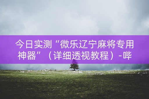 今日实测“微乐辽宁麻将专用神器”（详细透视教程）-哔哩哔哩