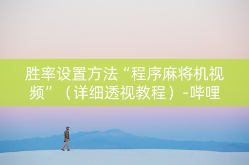 胜率设置方法“程序麻将机视频”（详细透视教程）-哔哩哔哩
