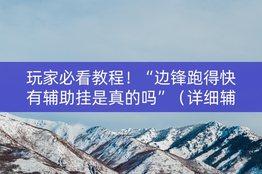 玩家必看教程！“边锋跑得快有辅助挂是真的吗”（详细辅助教程）-哔哩哔哩