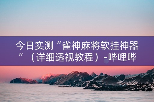 今日实测“雀神麻将软挂神器”（详细透视教程）-哔哩哔哩