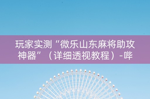 玩家实测“微乐山东麻将助攻神器”（详细透视教程）-哔哩哔哩