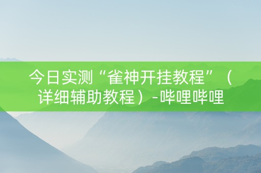 今日实测“雀神开挂教程”（详细辅助教程）-哔哩哔哩