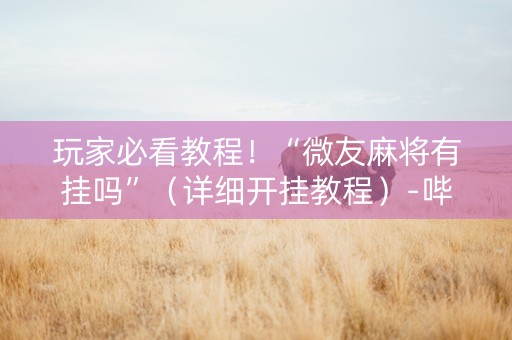 玩家必看教程！“微友麻将有挂吗”（详细开挂教程）-哔哩哔哩