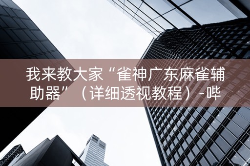 我来教大家“雀神广东麻雀辅助器”（详细透视教程）-哔哩哔哩