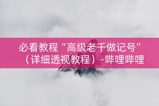 必看教程“高级老千做记号”（详细透视教程）-哔哩哔哩