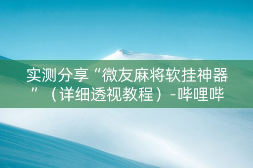 实测分享“微友麻将软挂神器”（详细透视教程）-哔哩哔哩