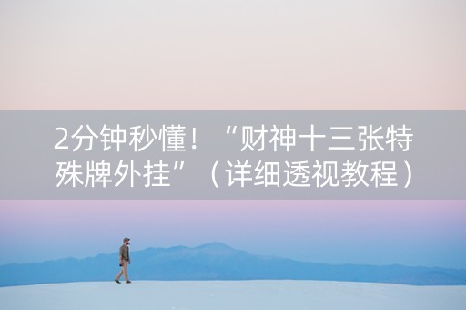 2分钟秒懂！“财神十三张特殊牌外挂”（详细透视教程）-哔哩哔哩