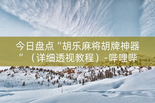 今日盘点“胡乐麻将胡牌神器”（详细透视教程）-哔哩哔哩