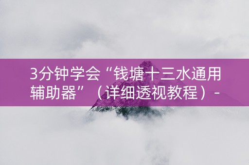 3分钟学会“钱塘十三水通用辅助器”（详细透视教程）-哔哩哔哩