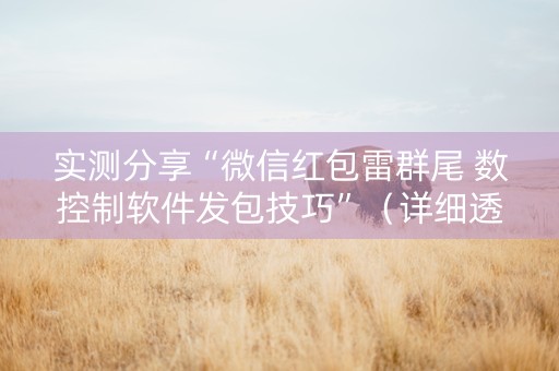 实测分享“微信红包雷群尾 数控制软件发包技巧”（详细透视教程）-哔哩哔哩