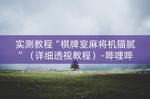 实测教程“棋牌室麻将机猫腻”（详细透视教程）-哔哩哔哩