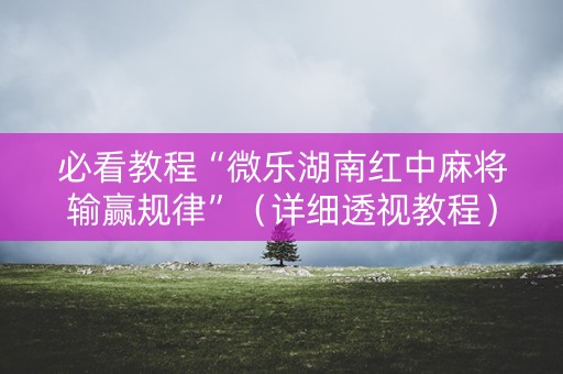 必看教程“微乐湖南红中麻将输赢规律”（详细透视教程）-哔哩哔哩