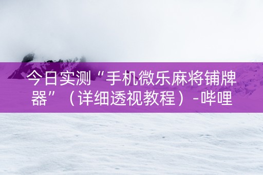 今日实测“手机微乐麻将铺牌器”（详细透视教程）-哔哩哔哩