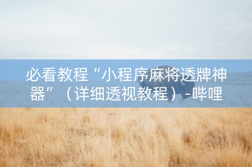 必看教程“小程序麻将透牌神器”（详细透视教程）-哔哩哔哩