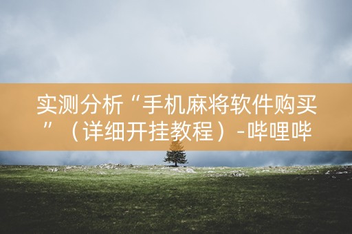 实测分析“手机麻将软件购买”（详细开挂教程）-哔哩哔哩