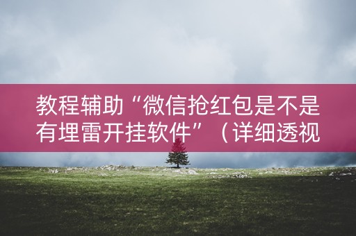 教程辅助“微信抢红包是不是有埋雷开挂软件”（详细透视教程）-哔哩哔哩