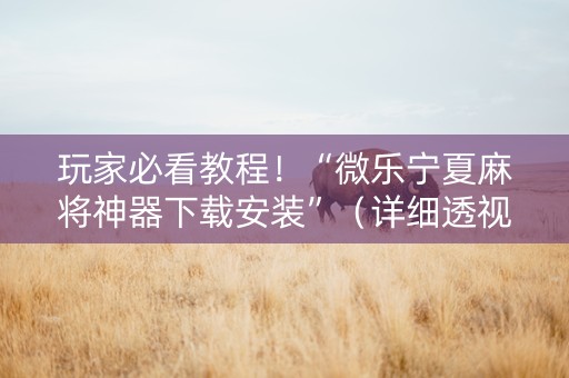玩家必看教程！“微乐宁夏麻将神器下载安装”（详细透视教程）-哔哩哔哩