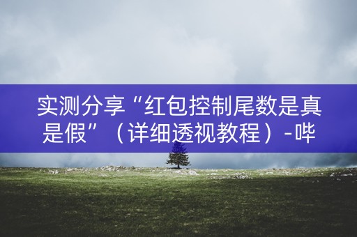 实测分享“红包控制尾数是真是假”（详细透视教程）-哔哩哔哩