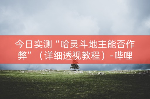 今日实测“哈灵斗地主能否作弊”（详细透视教程）-哔哩哔哩